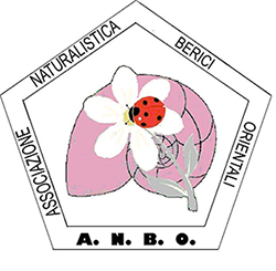 Logo Associazione